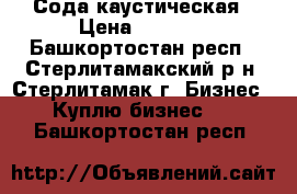 Сода каустическая › Цена ­ 1 000 - Башкортостан респ., Стерлитамакский р-н, Стерлитамак г. Бизнес » Куплю бизнес   . Башкортостан респ.